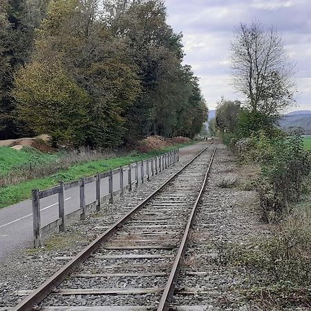 A L'Oree Du Bois "Les Hetres" Guewenheim Zewnętrze zdjęcie