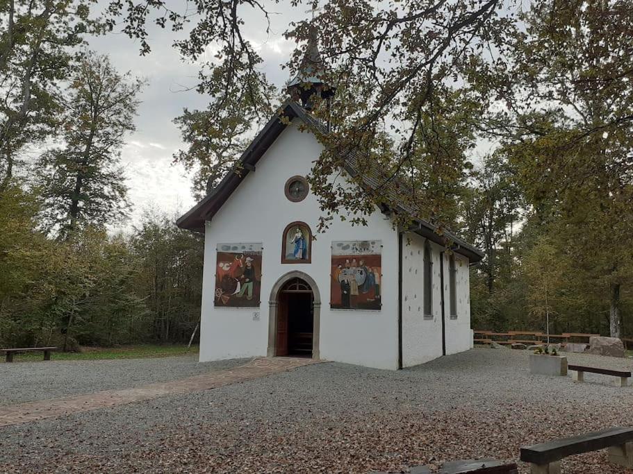 A L'Oree Du Bois "Les Hetres" Guewenheim Zewnętrze zdjęcie